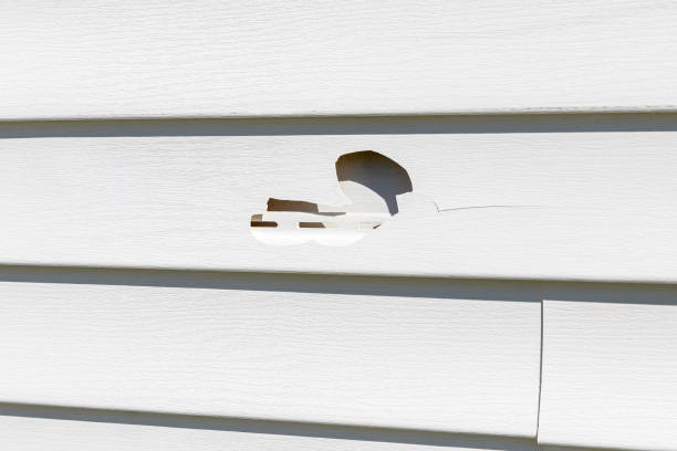 Best James Hardie Siding  in Rancho Cordova, CA