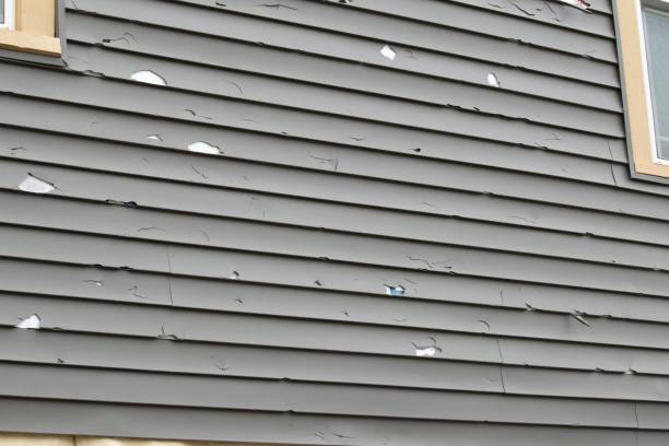 Best Aluminum Siding Installation  in Rancho Cordova, CA